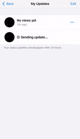 completely delete whatsapp status to fix "couldn't send" error