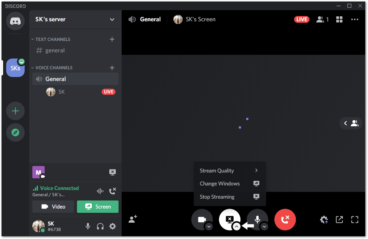 13 Steps To Fix Discord Screen Share With A Black Screen Pletaura