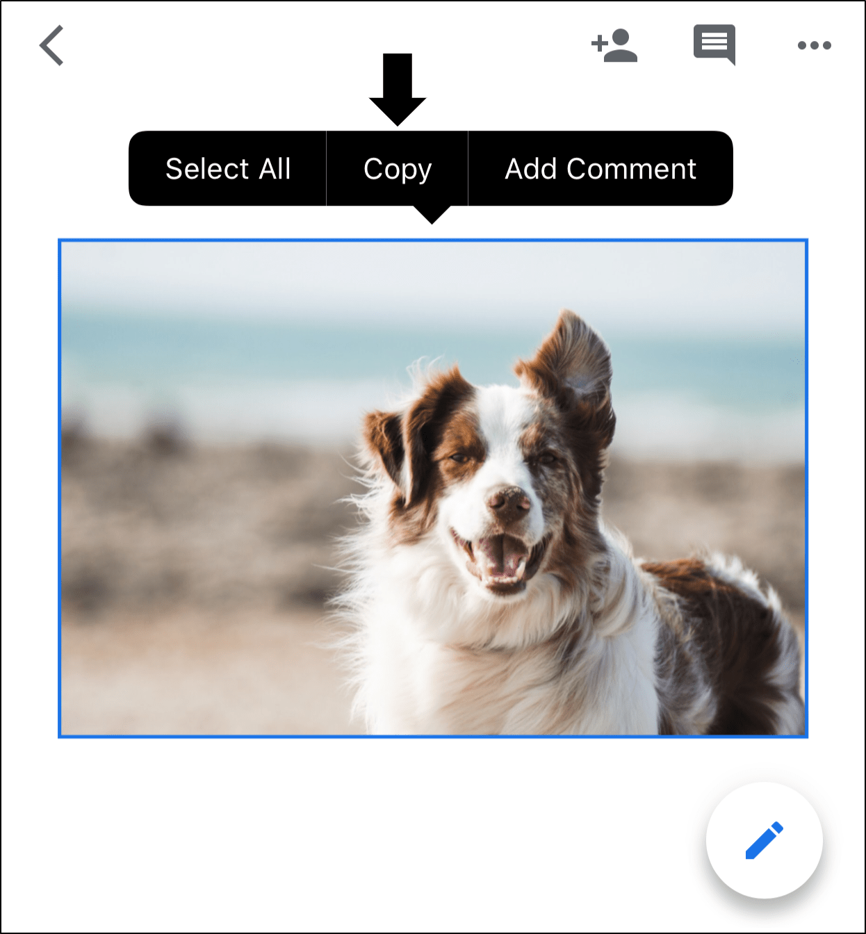 How to Save Pictures From Google Docs on iPhone & Android? (2023)