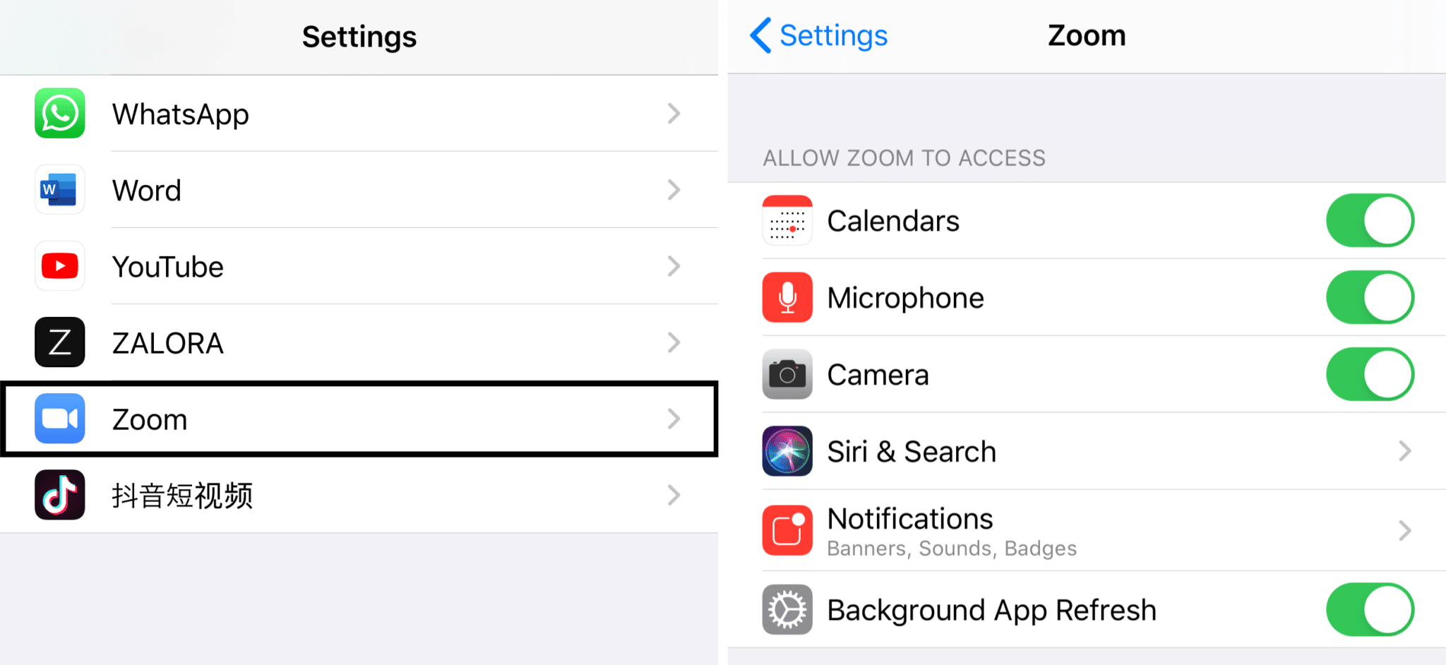 Allow permissions for Zoom on iOS to fix zoom share screen not working