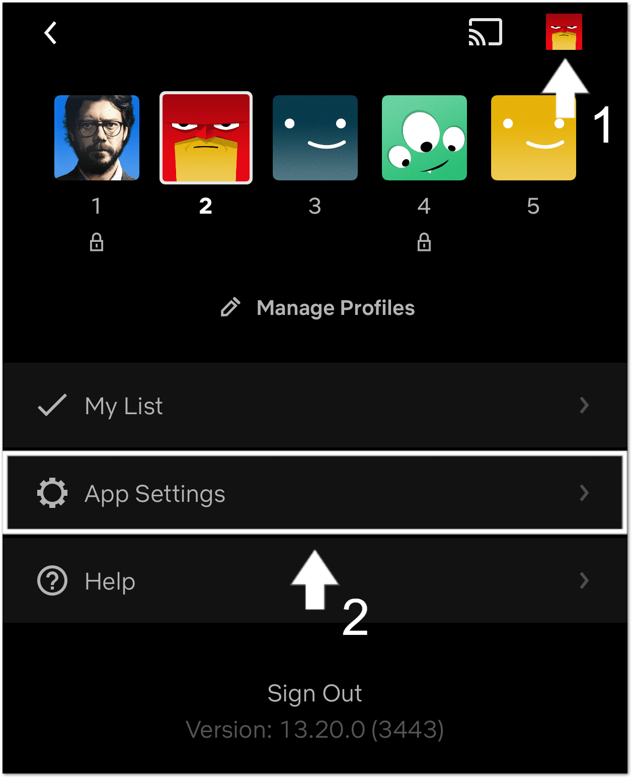 Open Netflix app settings