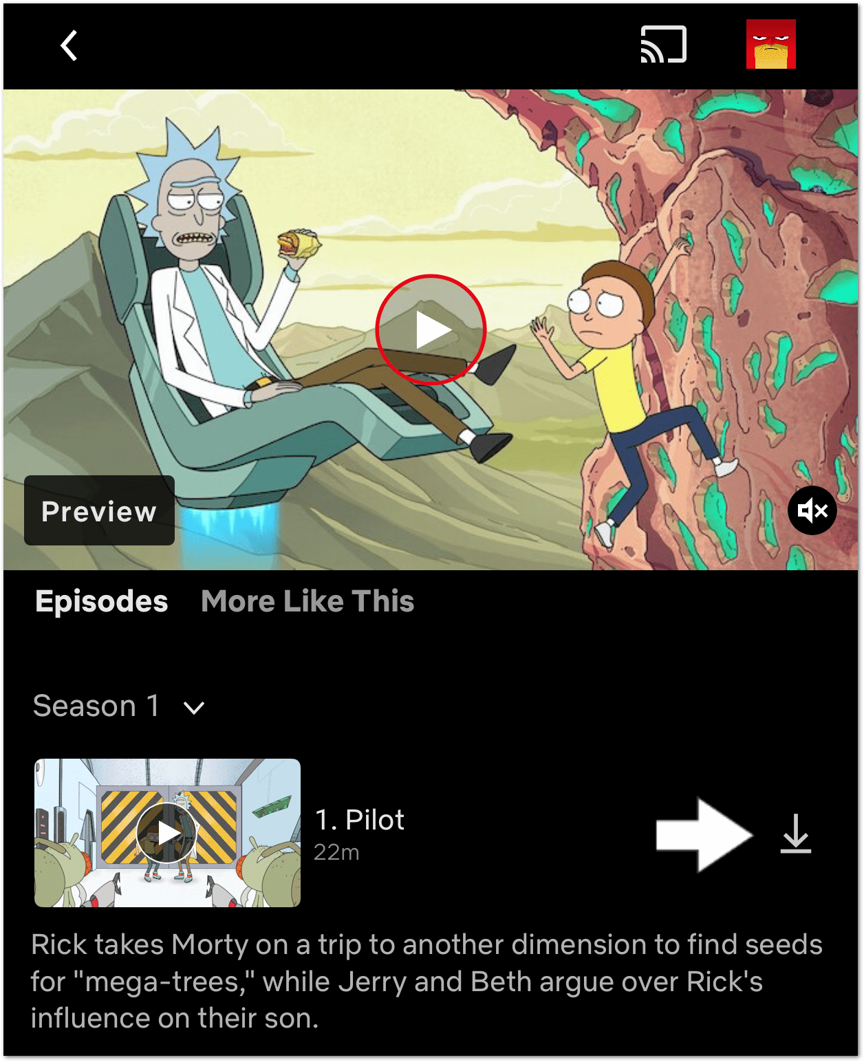 download button on Netflix
