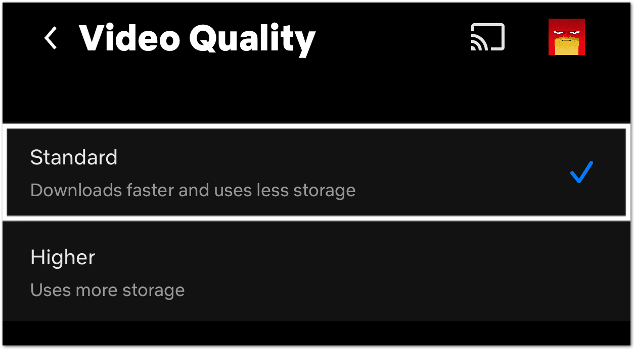 Change the downloaded video quality to standard definition on Netflix to fix downloads not working or playing