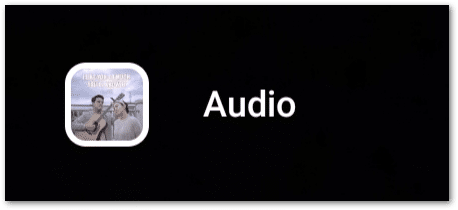 use pre-uploaded audio for your Instagram Reels to fix reels not showing or audio not working