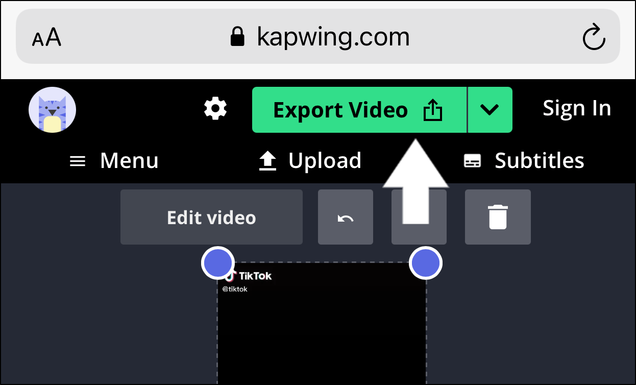 saving TikTok videos using third-party video downloader or software like Kapwing