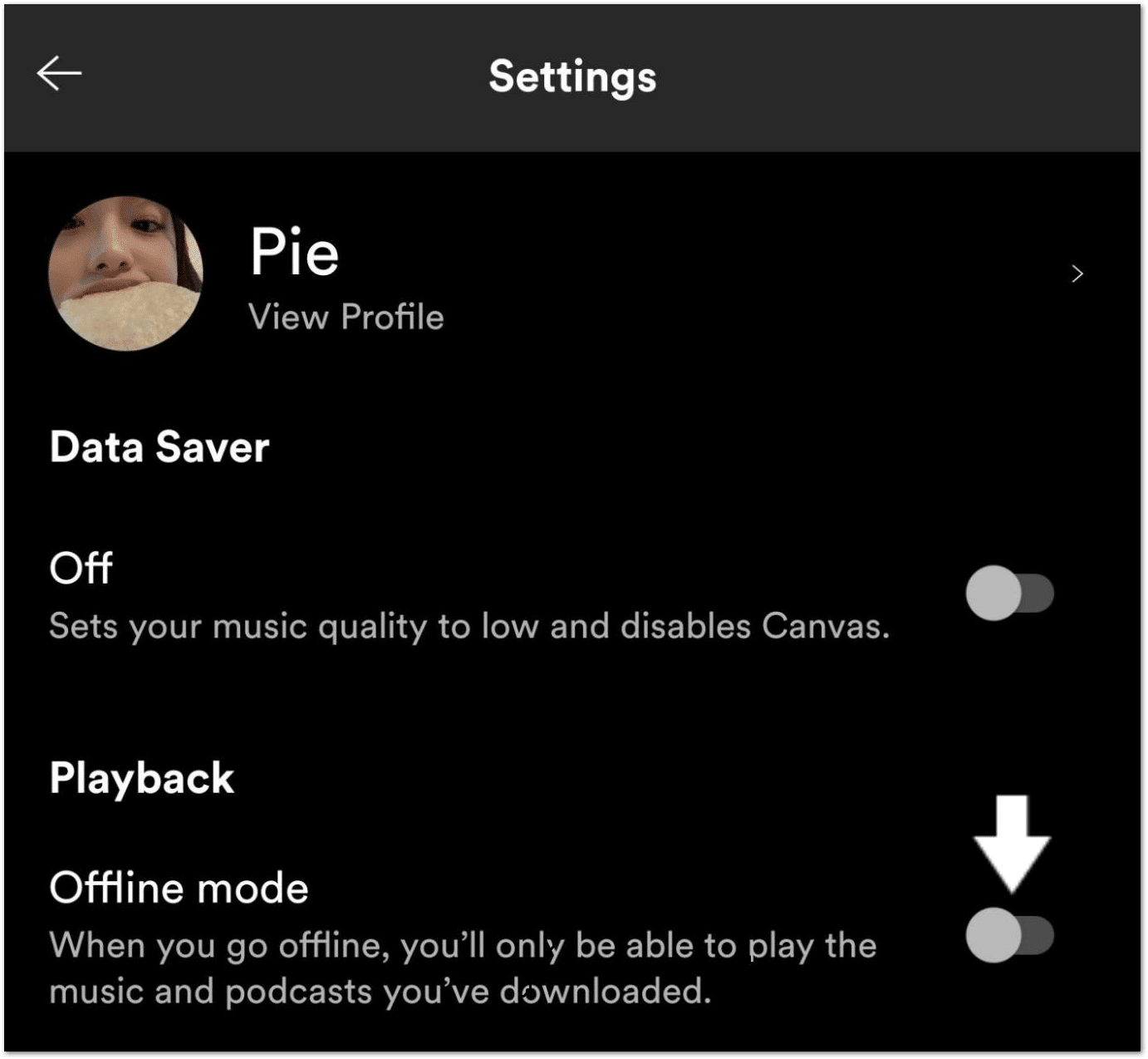 toggle offline mode on Spotify app to fix Spotify offline downloads songs or playlists not working, playing or greyed out
