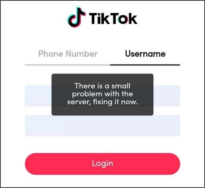 TikTok "there is a small problem with the server fixing it now" error message