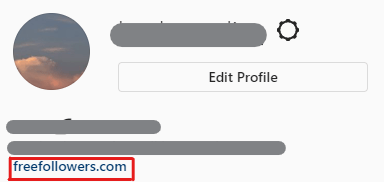 remove link on instagram profile bio to fix the Instagram "Something Went Wrong" or "Try Again Later" errors