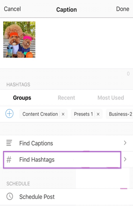 use the find hashtags tool on instagram