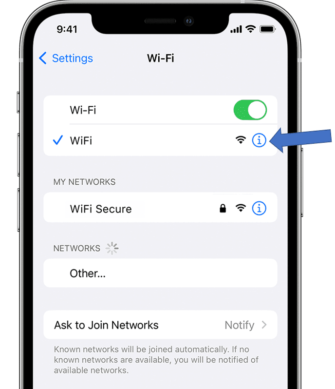 Changing DNS settings on iOS