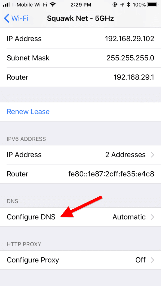 Changing DNS settings on iOS