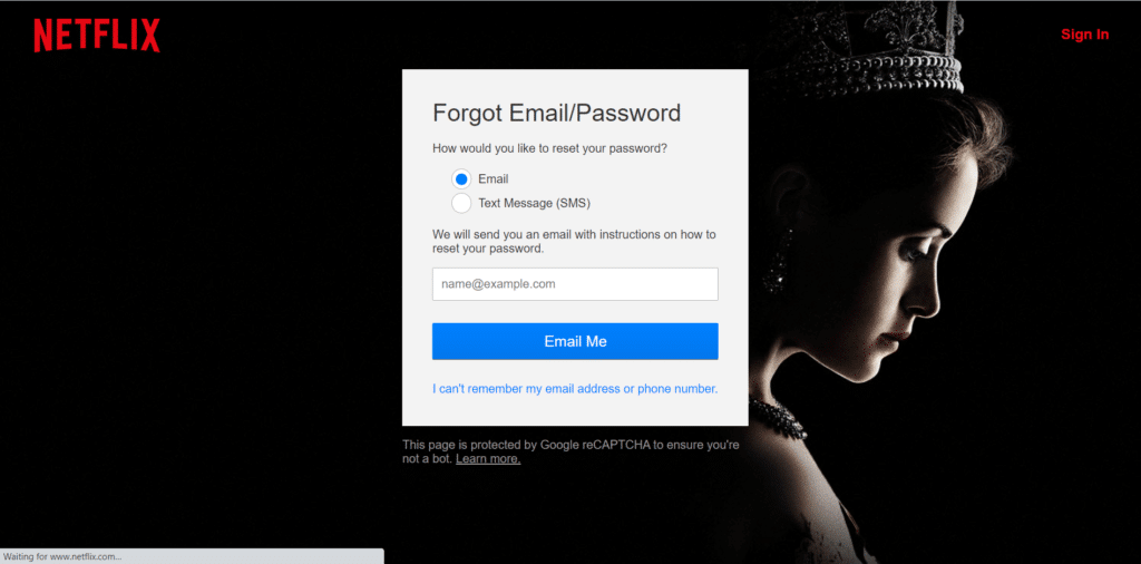 Reset the account password via email to fix when Netflix is not signing in