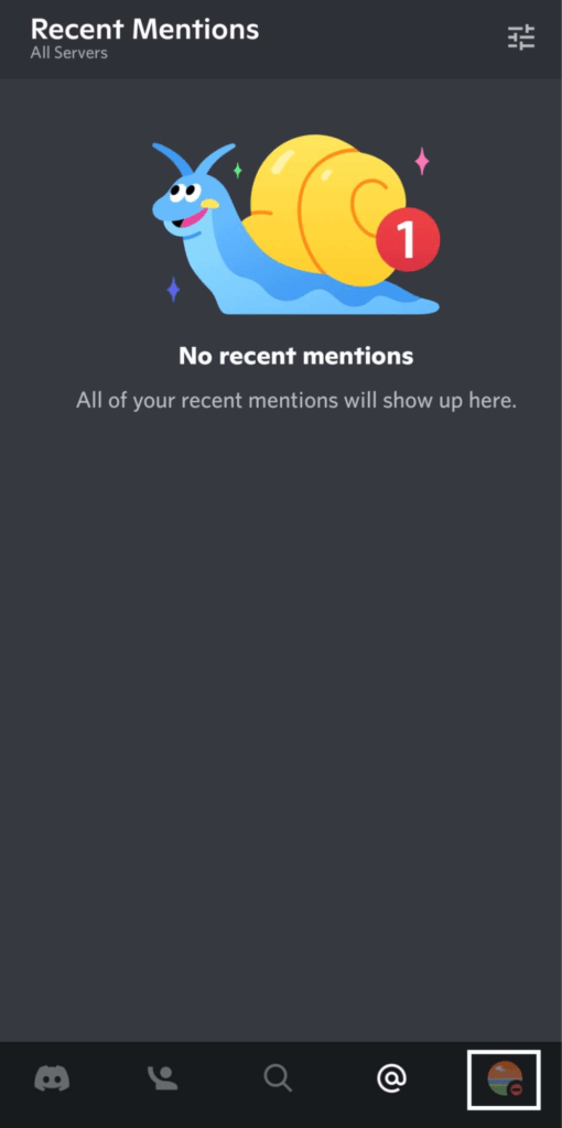 Change your Discord status to online