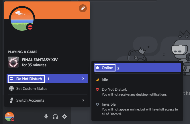 Change your Discord status to online