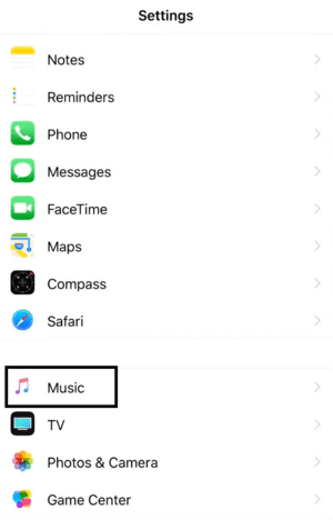 Enable the iCloud music library feature to fix Apple Music offline/downloaded songs not playing