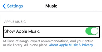 Enable the iCloud music library feature