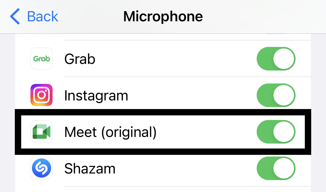check privacy and security settings on iOS/iPhone to enable microphone permission for app to fix Google Meet microphone, audio, or sound not working