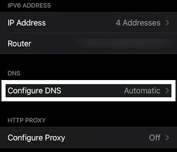 Set your DNS address for iOS