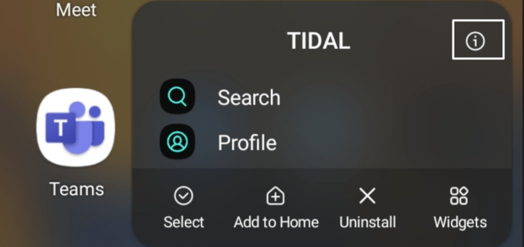 Allow the TIDAL app to use the data while running in the background to fix TIDAL not working, playing, connecting, playback and Streaming Problems