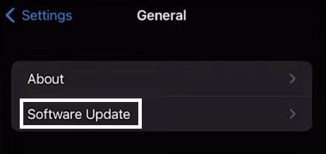 Go to  General in settings to update your device software version to fix Apple CarPlay is disconnecting randomly issue