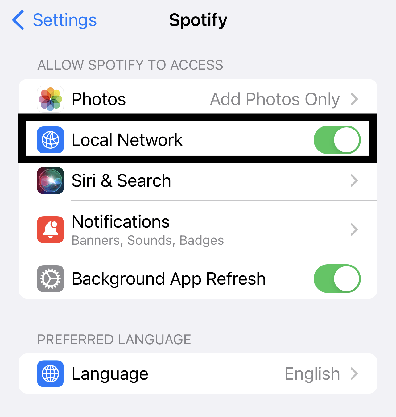 Provide Spotify access to your local network on your iOS device to fix Spotify Connect not working Issue