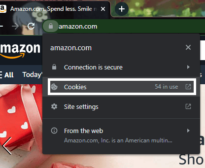 Clear cookies on Google Chrome for the Amazon website to fix Amazon website not working, opening, loading properly