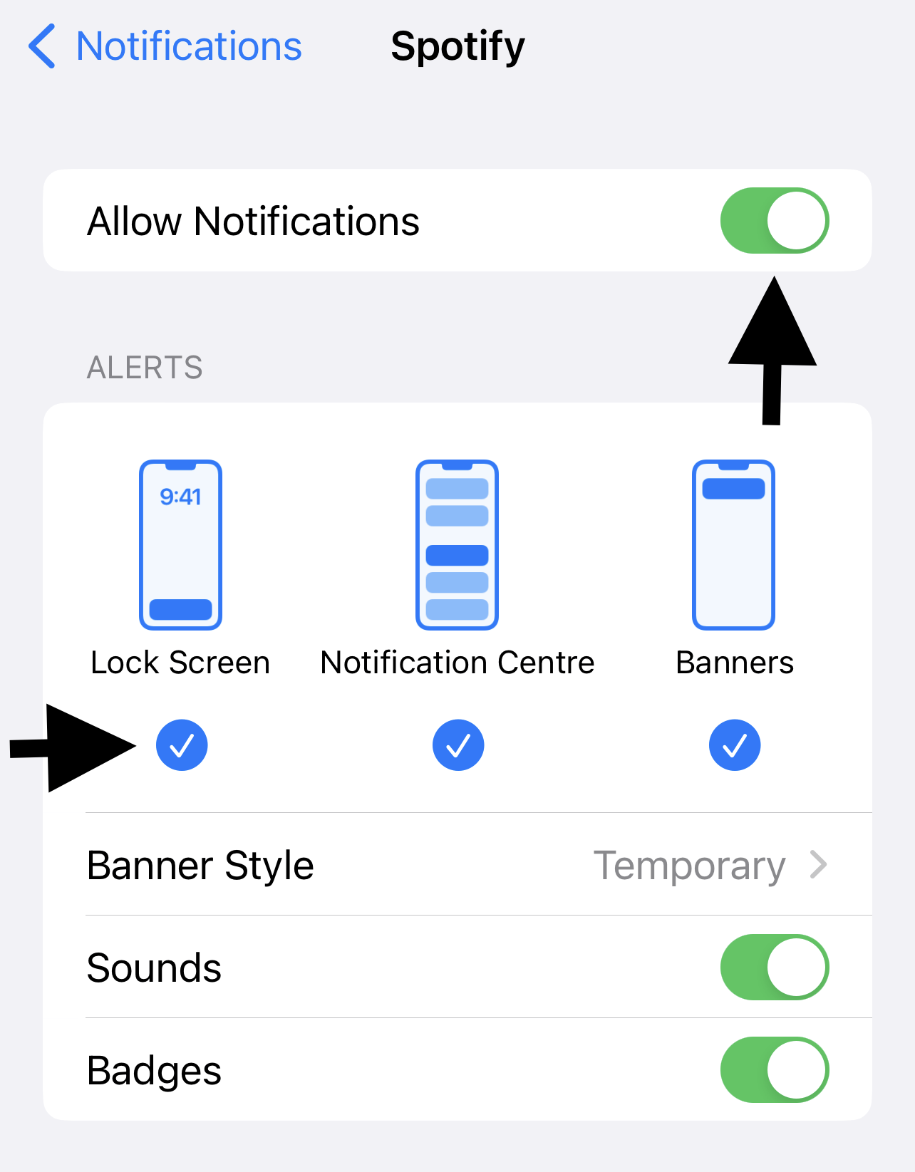 Let the app show controls on the lock screen on mobile