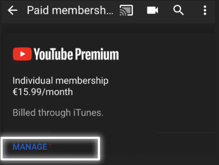 Verify your YouTube Premium membership status to fix YouTube Premium background play not working
