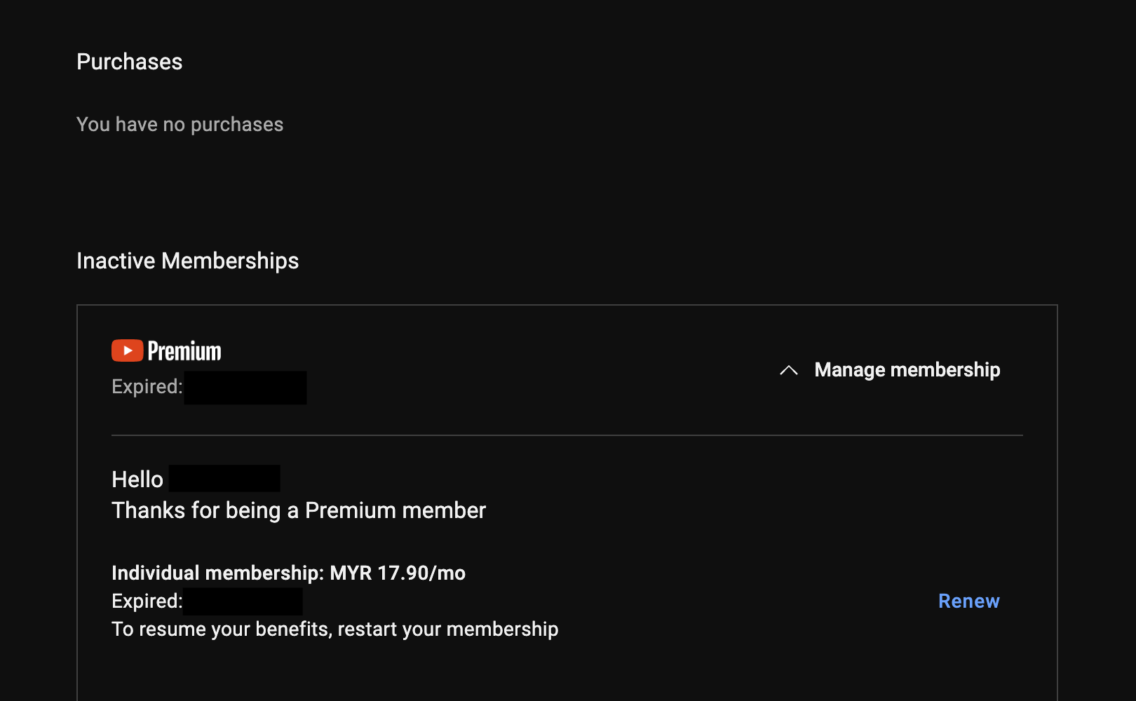 Verify your YouTube Premium membership status to fix YouTube Premium background play not working