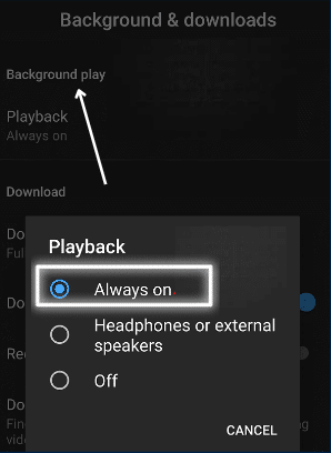 Check your background playback settings to fix YouTube Premium background play not working