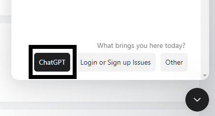 Contact the OpenAI team to fix the ChatGPT "Too many requests in 1 hour. Try again later." error