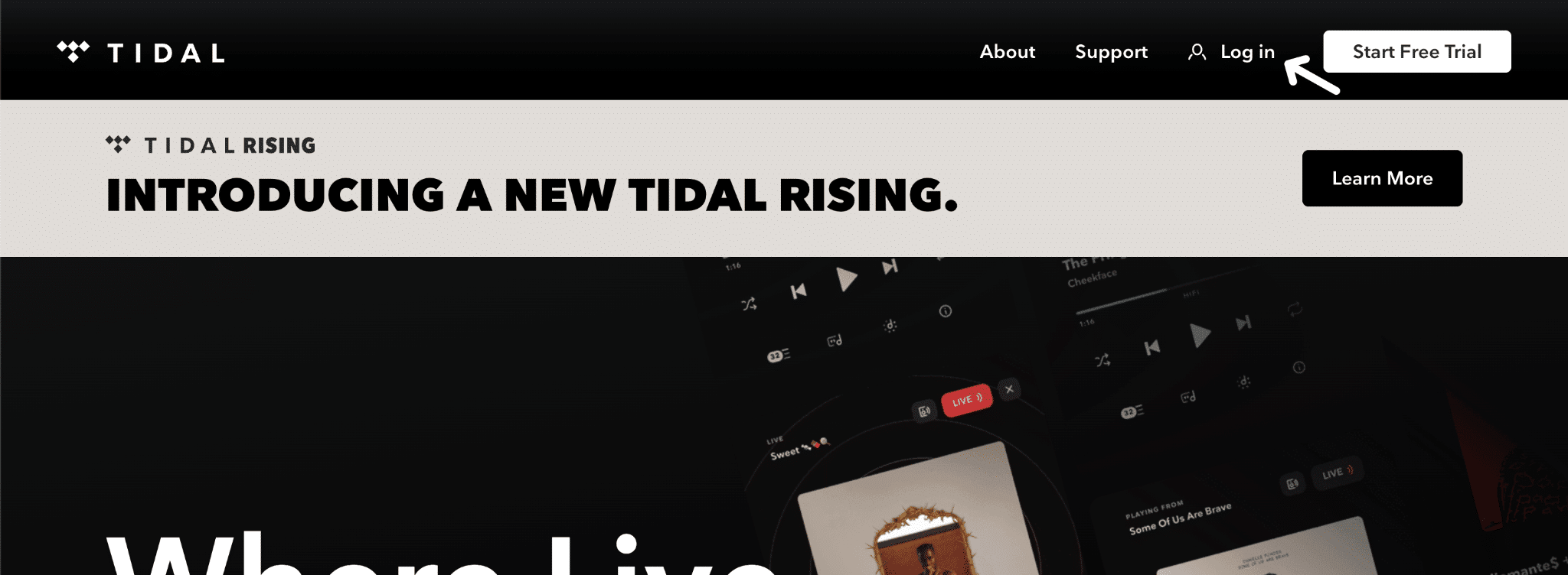 Reset your TIDAL account password to fix TIDAL can't log in or sign in, Something Went Wrong, Login Failed, Network Error