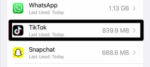 Clear TikTok app cache and data through device system settings on iPhone iOS to fix TikTok ‘No internet connection’, ‘No network connection’ or network error